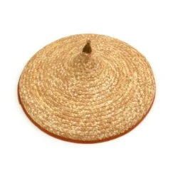 Disney Nouveau Déguisement Raya Complet, Raya Et Le Dernier Dragon -Disney 2841045240269M 4