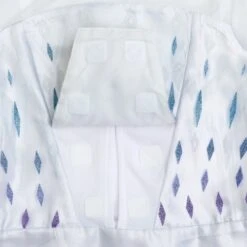 Disney Nouvelle Génération Déguisement Adaptatif Elsa, La Reine Des Neiges 2 -Disney 2841045240275M 2