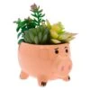 Disney Magasin En Ligne Plante Artificielle En Pot Bayonne, Toy Story -Disney 465043003331