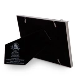 Promotions Disneyland Resort Cadre Photo Disney100 Celebration -Disney 465043582997 2